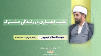 علت لجبازی در زندگی مشترک
